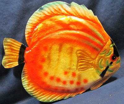 Orange Discus Tropical Fresh Water Fish Wall Art Sea Life Home Decor 