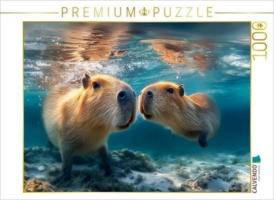 CALVENDO Puzzle Unter Wasser ist es auch ganz schön | 1000 Teile Lege-Größe 64x4