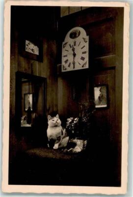 39678338 - Photo M. Rudolf Tick Tack Tick Tack Clock Cat