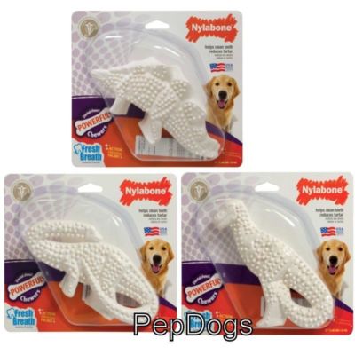 nylabone dental dinosaur