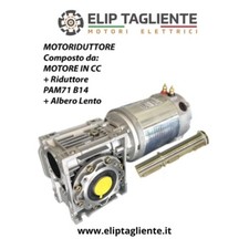 MOTORIDUTTORE 12V 800W 65 RPM DC VERRICELLO SALPA RETE TRAZIONE A BATTERIA 