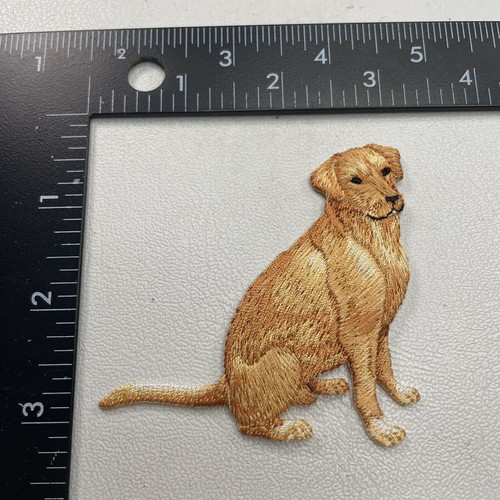 Dog Breed Maybe A Golden Retriever Patch (Or Possibly Lab Labrador ) 31H2