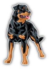 Rottweiler Dog Painted Car Bumper Sticker Decal