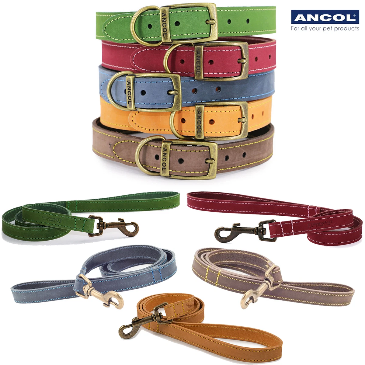 Ancol leads best sale