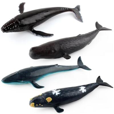Oceanic Wildlife Spielset - interaktive Lernfiguren für Kinder