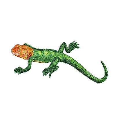 Red-headed Agama - Green Shimmery Lizard, Pets, Embroidered - Iron on Patch