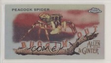 2020 Topps Allen & Ginter Chrome Mini Buggin' Out! Peacock Spider #MBOC-10 07qr