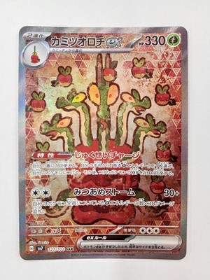 Pokemon Karte Kamitsuo Rochi EX SAR Gebraucht