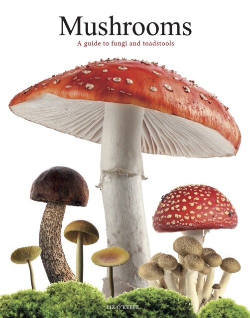 Mushrooms : A Guide To Fungi And Toadstools Liz O'keefe - Image 4