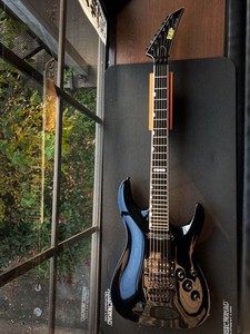 Esp Horizon Custom | eBay