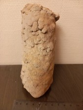 Hollow Cave Stalagmite