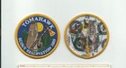 SCOUT BSA 2009 TOMAHAWK RESERVATION CAMP PATCH NORTHERN STAR COUNCIL MN WI BADGE