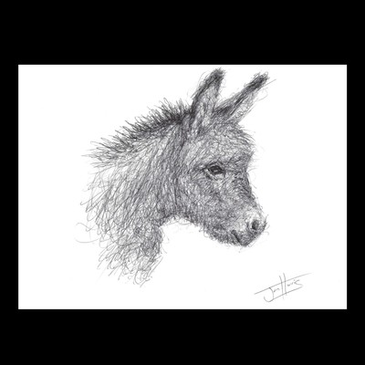 Baby Donkey | Original Scribble Art Collectible Biro Pen Drawing by Jon Harris