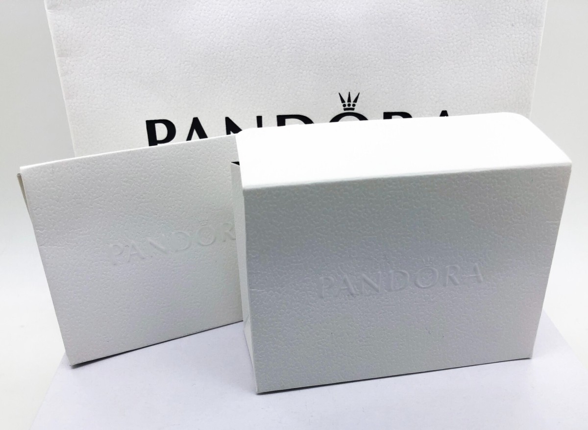 あんな様♡シルバーオブシディアン B 17cm NEW 100% Authentic PANDORA 925 Camping Night Sky Double