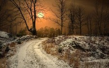 Landscape winter sun norway dirt road trees nature dry Custom Gaming Mat Desk