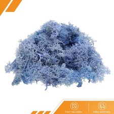 Preserved Reindeer Moss 4 OZ Fake Moss for Crafts Sky Blue