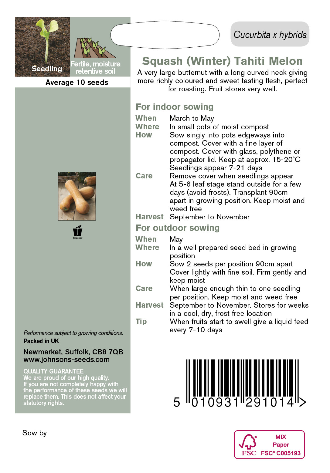 Johnsons Seeds Squash Butternut (Winter) Tahiti Melon Seed eBay