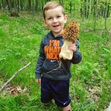 Morel Mushroom Spores in Sawdust Bag Garden Grow Kit Makes 5 gal FREE SHIPPING