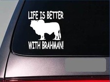 Life is better with brahman *f429* sticker decal cattle black texas beef stock