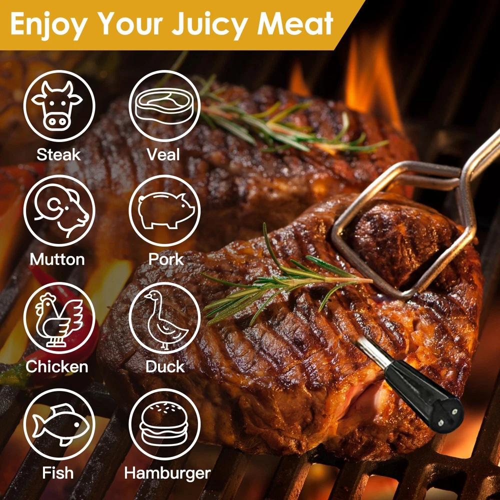 Meat Thermometer -Range Wireless Food Thermometer, Temp Monitor w/ Dual Probes