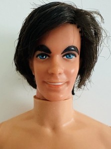 Mod Hair Ken Doll | eBay