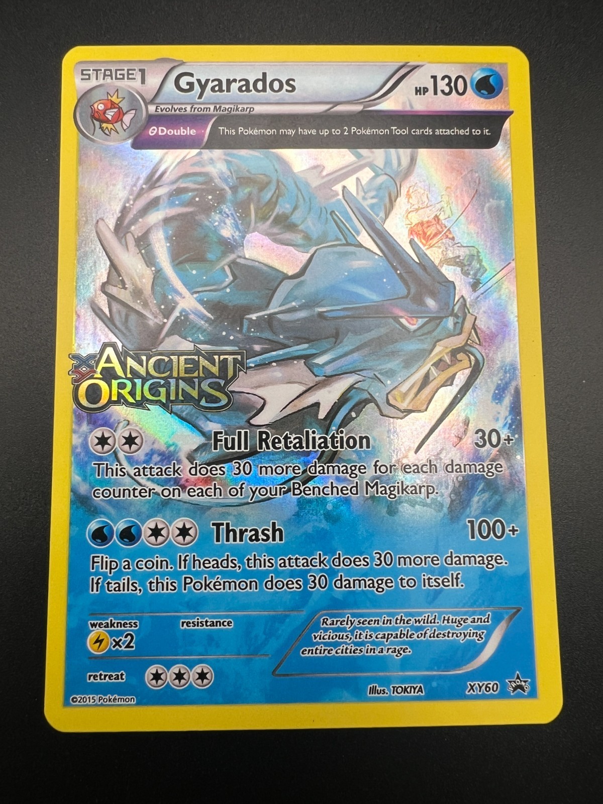 Gyarados - XY60 - Pokemon XY Promo Holo Rare Card NM