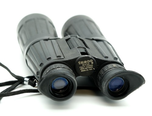 Tasco 8x56 Longue-Vue Chasseur Optique Verre de Vogelbeobachter 105m/1000 #45L - Picture 4 of 6