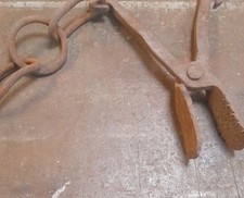 Medieval Type Tongues  With Chain