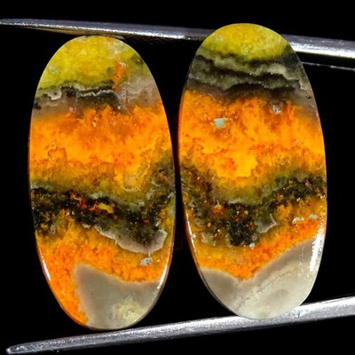 23.40Cts Natural Bumble Bee Jasper Oval Cabochon loose Gemstone 12x25x4mm