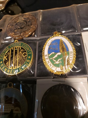 35 medallas vintage de exposición canina medallones Kennel Club + - Imagen 8 de 13