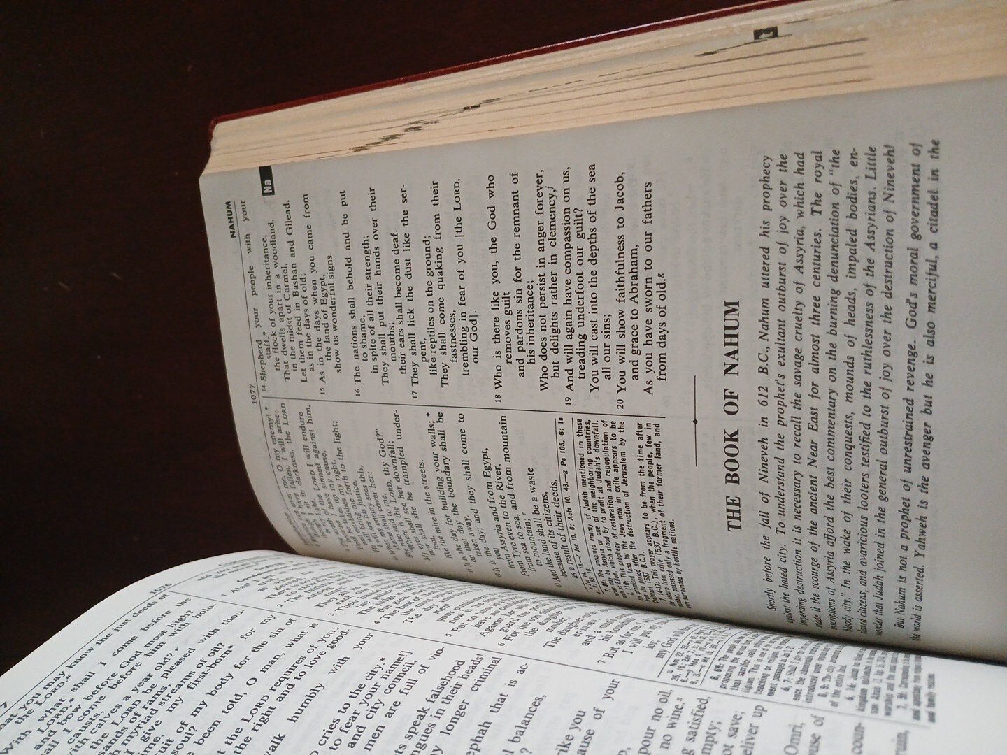 New American Bible, St Joseph Medium Size Edition Illustrated 1992 ...