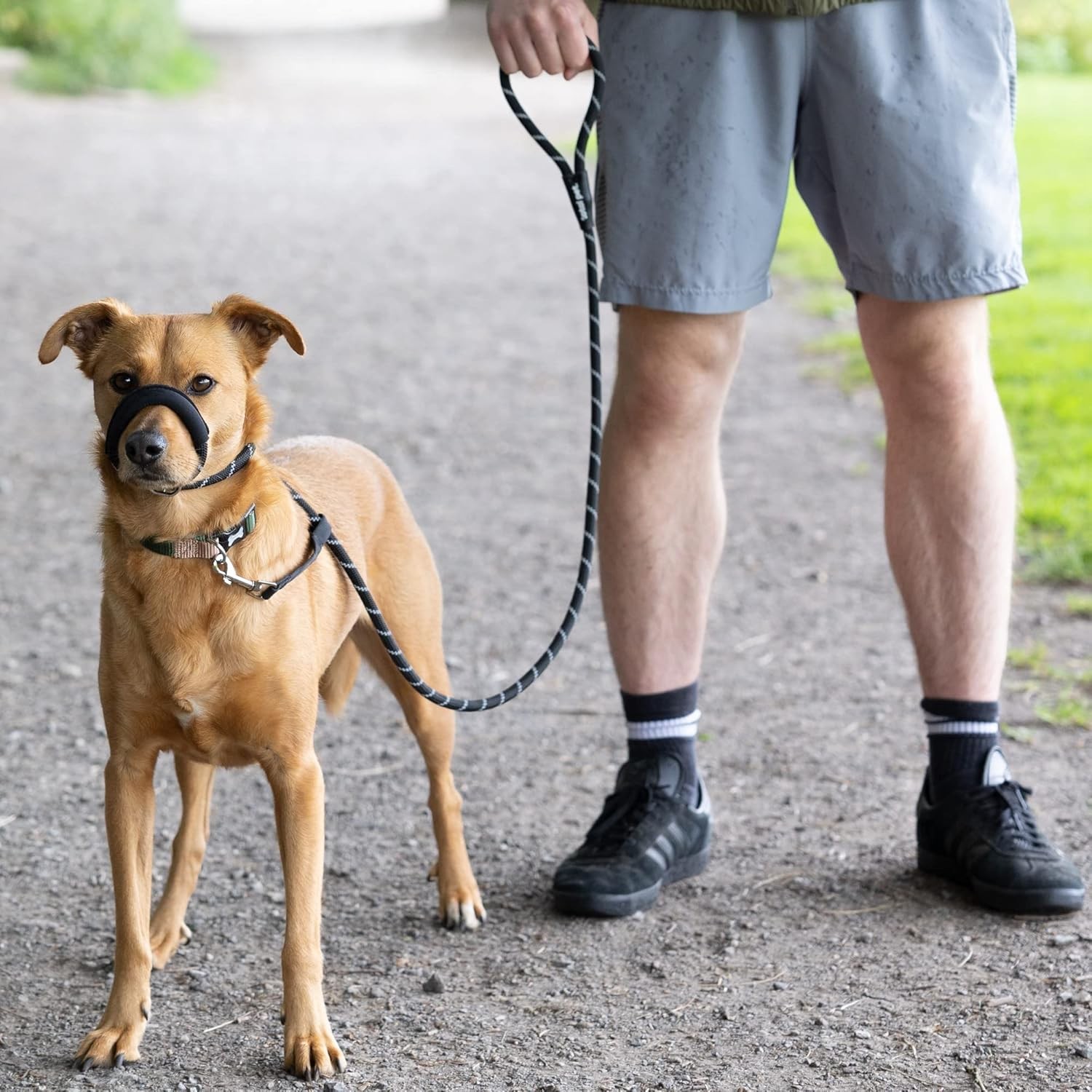Anti-Pull Dog Lead Figure 8 Rope Slip Lead with Padded Nose Support - Black