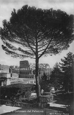 ITALY ROME COLOSSEUM FROM THE PALATINE