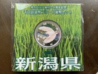 Foto 10 di 95