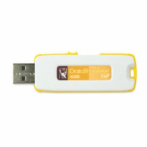 Kingston datatraveler i g2 USB-flashstation 4gb hi-Speed USB geel (740617148787)