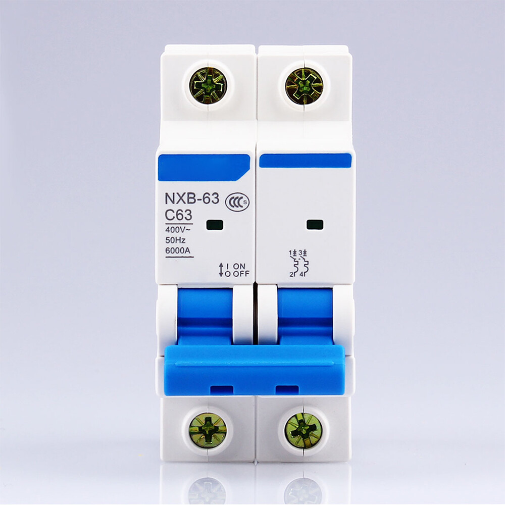 63A 2P Miniature Circuit Breaker for CHINT NXB-63 | eBay