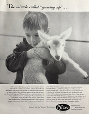 1958 Pfizer Pharmaceutical Agricultural Chemical Products Growing VTG Print Ad