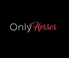 New Only Horses Decal 9 21 38 Vinyl Window Decal Truck Window Decal New Only Horses Decal 9 21 38 Vinyl Window Decal Truck Window Decal