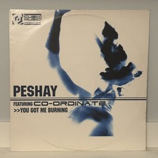 Near Mint! PESHAY – You Got Me Burning / Fuzion 12” 2002 🔥 UK DnB CUBIKSAMP001