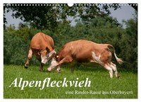 "Calendar 2027 · US Version · Alpenfleckvieh (Wall Calendar 2027 17\" × 12\" Landsc"
