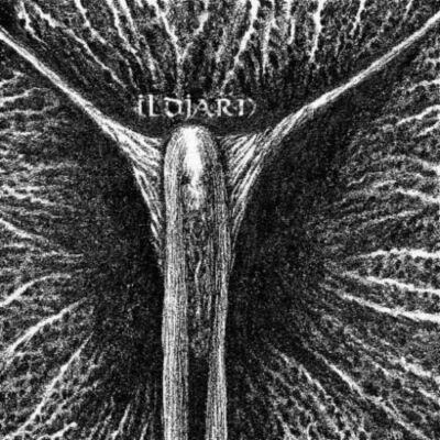 ILDJARN-ILDJARN-CD-REISSUE-black metal-sort voter-bone awl-nidhogg-von-gandr