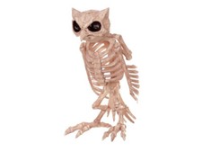 Skeleton Owl Halloween Decoration Haunted House Prop Yard Decor Owl Skeleton New