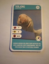 Doejong Dugong Dugon