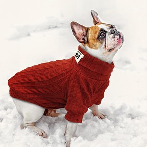 dog knit jumper
