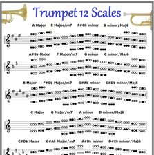 SOLO TRUMPET SMALL CHART - 12 SCALES - IMPROVISE IN ANY KEY !