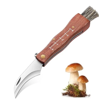 MARKENLOS Pilzmesser mit Pinsel Messer mit Skala Bürste Holzgriff Klappbar 17.0 cm Neu