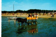 Postkarte Niedersachsen - Cuxhaven-Sahlenburg (083)