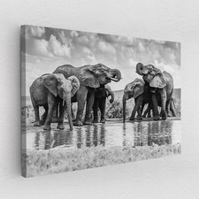 Leinwandbild Poster Acryl Glas Pop-Art Elefant Natur Tier Schwarz Weiss Afrika