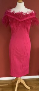 coast feather trim dress