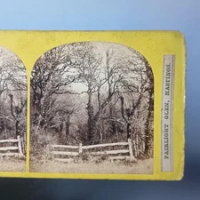 Hastings Sussex Stereoview C1870 Real Photo Fairlight Glen By J.W.Thomas
